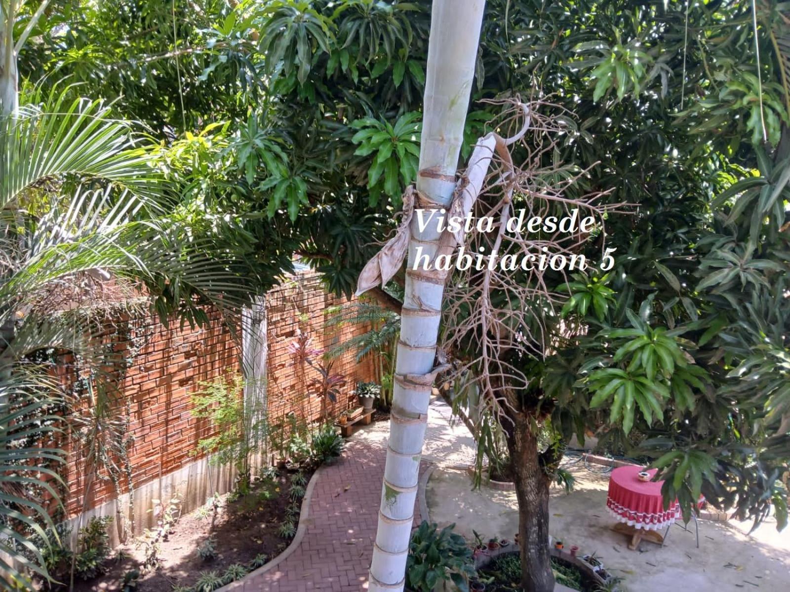 Alojamiento Familiar Custodia Tarapoto Bagian luar foto